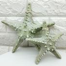 Enfeites Estrelas Mar Verde Casa Praia Mar Oceano Kit 2pçs