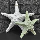 Enfeites Estrelas Mar Verde e Branca Casa Praia Mar Kit 2pçs