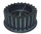 Engrenagem do Virabrequim Fiat Palio / Doblo / Marea / Siena 1.6 16V 96 / 02 Strada 1.6 16V 01 / 07