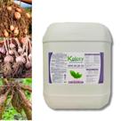 Enraizador Fertilizante liquido concentrado Npk 08.28.16 -Galão de 20Lts (Rende 5) - KOICCY