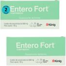 Entero Fort 2000mg Com60 ComprimidosPara Cães e Gatos Kit Com 2