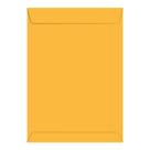 Envelope Kraft Ouro 176 x 250mm com 10 Unidades TILIBRA Envelope Kraft Ouro 176 x 250mm com 10 Unidades TILIBRA