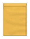 Envelope Saco Kraft Ouro 110x170 mm Caixa Com 250 Unidades Envelope Saco Kraft Ouro 110x170 mm Caixa Com 250 Unidades