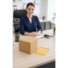 Envelope Saco Kraft Ouro 110x170mm 250 Un. Ideal Pagamentos