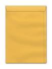 Envelope Saco Kraft Ouro 80x115 mm Caixa Com 250 Unidades Envelope Saco Kraft Ouro 80x115 mm Caixa Com 250 Unidades