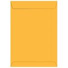 Envelope Saco Ouro 260x360 Foroni - Embalagem com 250 unidades Envelope Saco Ouro 260x360 Foroni - Embalagem com 250 unidades