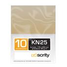 Envelopes Saco Kraft 80g 176x250mm c/ 10 unid. SKN25 -Scrity