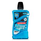 Enxaguante Bucal Antisséptico Extreme Ice Sem Álcool 600ml Sabor Menta Dentalclean