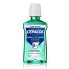 Enxaguante Bucal Cepacol 3 em 1 Menta Ice 250ml Enxaguante Bucal Cepacol 3 em 1 Menta Ice 250ml