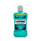 Enxaguante Bucal Cool Mint Listerine 500ml