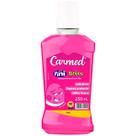 Enxaguante Bucal Fini Beijos com Flúor 250ml Enxaguante Bucal Fini Beijos com Flúor 250ml