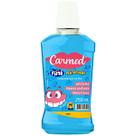 Enxaguante Bucal Fini Dentaduras com Flúor 250ml Enxaguante Bucal Fini Dentaduras com Flúor 250ml