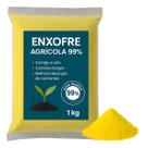 Enxofre Puro Elementar Agrícola Pecuário 1 Kg