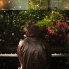 EP musical Just Piano de Membran
