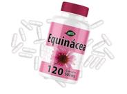 Equinácea Natuervas 120 Cápsulas Força Natural e BemEstar Equinácea Natuervas 120 Cápsulas Força Natural e BemEstar