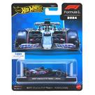 Equipe Hot Wheels Premium de Fórmula 1
