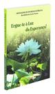 Ergue-te à Luz Da Esperança! - Livro de Reflexões
