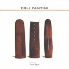 Erli Fantini - C/Arte