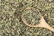 Erva doce 30g greenbios