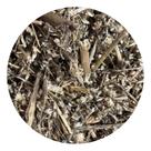 Erva Penicilina 500g (Erva Desidratada)