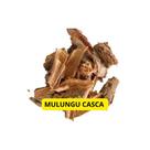 Erythrina Casca 1Kg