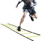 Escada De Agilidade Para Treino Circuito Funcional Ajustável 3 metros Escada De Agilidade Para Treino Circuito Funcional Ajustável 3 metros