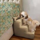 Escada de Exercicios e Ajuda Pet Pra Cães e Gato Alvin