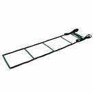 Escada Funcional KL Master Fitness 5 Unidades e DVD