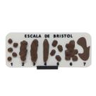 Escala De Bristol com Suporte Tabela Fezes Cocô 3D com Números