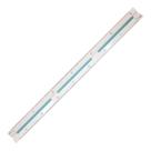 Escalímetro Trident Profissional 30cm Mod 7830-2