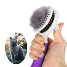 Escova de limpeza ItPlus Cat Self-Cleaning Slicker Brush