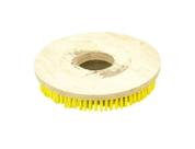 Escova Em NYLON 300 mm SEM Flange Para Enceradeira CRISMAR CR, CRISMAR POP Escova Em NYLON 300 mm SEM Flange Para Enceradeira CRISMAR CR, CRISMAR POP
