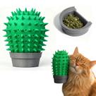 Escova massageadora para gatos com porta catnip cacto