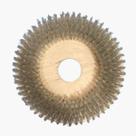 Escova Para CARPETES E TAPETES 410 mm SEM Flange Para Enceradeiras CLEANER. Allclean e Bandeirantes Entre Outras Escova Para CARPETES E TAPETES 410 mm SEM Flange Para Enceradeiras CLEANER. Allclean e Bandeirantes Entre Outras