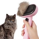 Escova para Gatos Aumuca com Autolimpeza para Remoção de Pelos