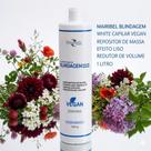 Escova Progressiva Botox Blindagem Dos Fios Mairibel 1 Kg