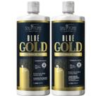 Escova Progressiva sem formol Salvatore Blue Gold 2x1L