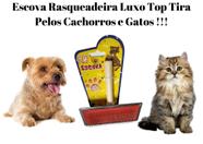 Escova Rasqueadeira Luxo Top Tira Pelos de Cachorro, Cães e Gatos Tamanho M