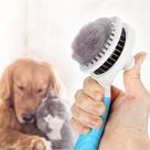 Escova Removedora de Pelos Pet Rasqueadeira Cachorros Cães e Gatos Confortável Pente Plástico Cerdas Botão Auto Limpeza Remoção Suave de Pelos Soltos