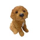 Escultura Cachorro Goldendoodle Filhote Decorativo