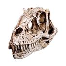 Escultura De Crânio De Dinossauro Ceratosaurus Em Resina Para Decoração De Halloween E Presente