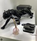 Escultura De Fibra Pantera Linha Premium De Parede E Chão Escultura De Fibra Pantera Linha Premium De Parede E Chão