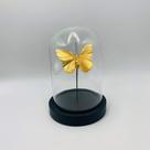 Escultura Decorativa Redoma de Vidro com Borboleta Dourada 16x11,5x11,5cm Escultura Decorativa Redoma de Vidro com Borboleta Dourada 16x11,5x11,5cm