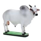 Escultura em Resina Boi Nelore Home Western Decor 25698 Escultura em Resina Boi Nelore Home Western Decor 25698