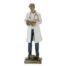 Escultura Estatueta Estátua Profissão Médico Veterinário Resina Decorativa Decoração Consultório Casa Sala Quarto Escritório Estante Mesa Rack Luxo