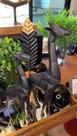 Escultura Girafa Em Poliresina Preta- MART