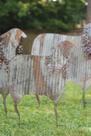 Escultura KALALOU CHE1369 Conjunto de 3 ovelhas de Natal corrugadas 81x104 cm