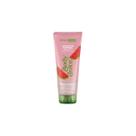 Esfoliante Corporal Dermachem Body Juice Melancia 100 ml