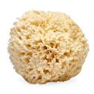 Esfoliante corporal natural Sea Wool Sponge LATHER