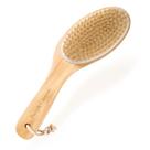 Esfoliante Dry Brush Purple Canyon com cerdas naturais